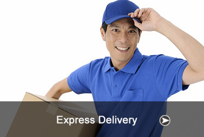 LIVRAISON EXPRESS PAR COURRIER